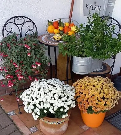 Gaestehaus Klein Appartamento *