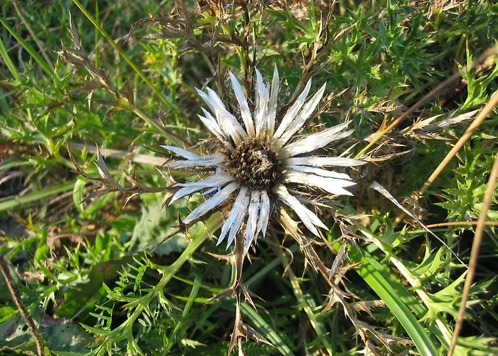 Apartmán Gaestehaus Klein